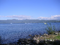 s_PICT0146s.png